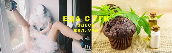 мдпв Дмитриев