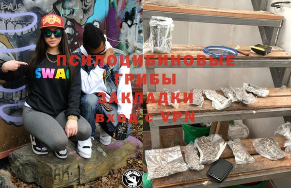 мдпв Дмитриев