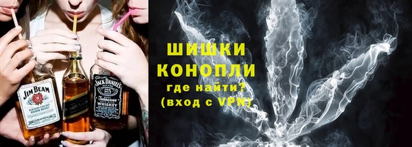мдпв Дмитриев