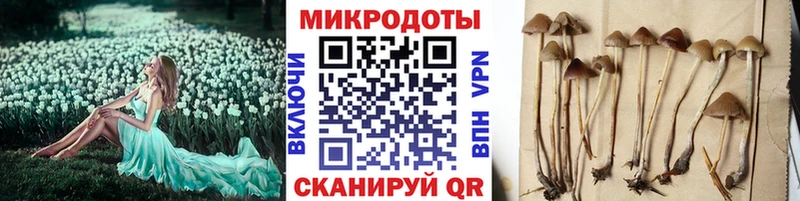 Галлюциногенные грибы Cubensis  наркота  Нязепетровск 